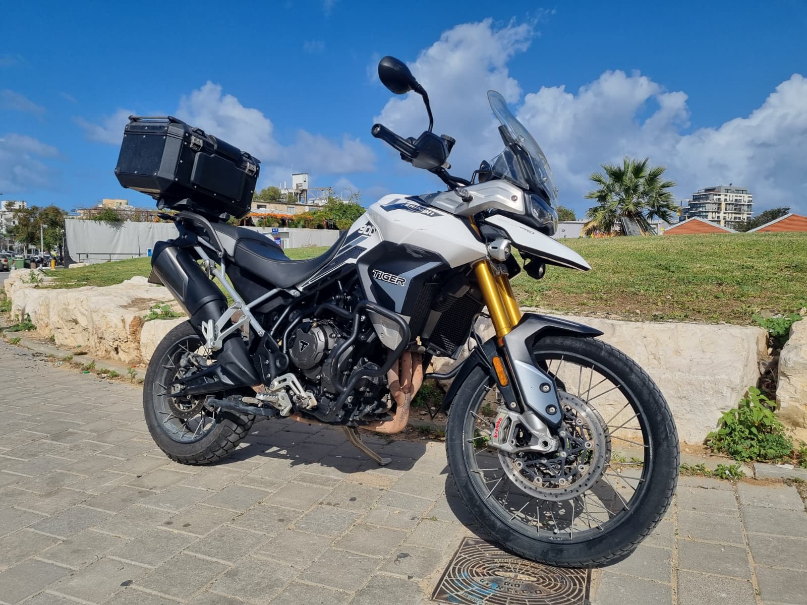 TRIUMPH TIGER 900 RALLY PRO